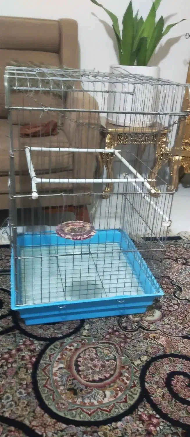 قفس کاسکو قفس پرنده|لوازم جانبی حیوانات|ارومیه, |دیوار