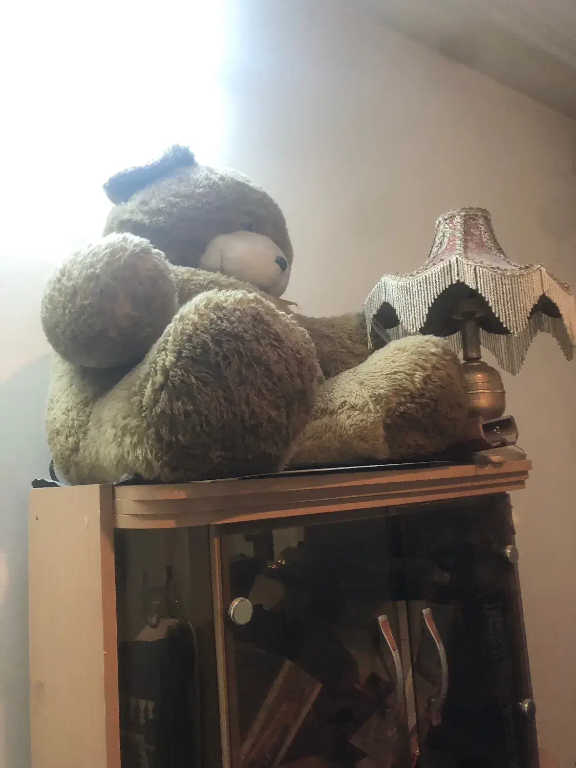 عروسک خرسی خپل و گنده بزرگ|اسباب‌بازی بچه|شیراز, شهرک جماران|دیوار