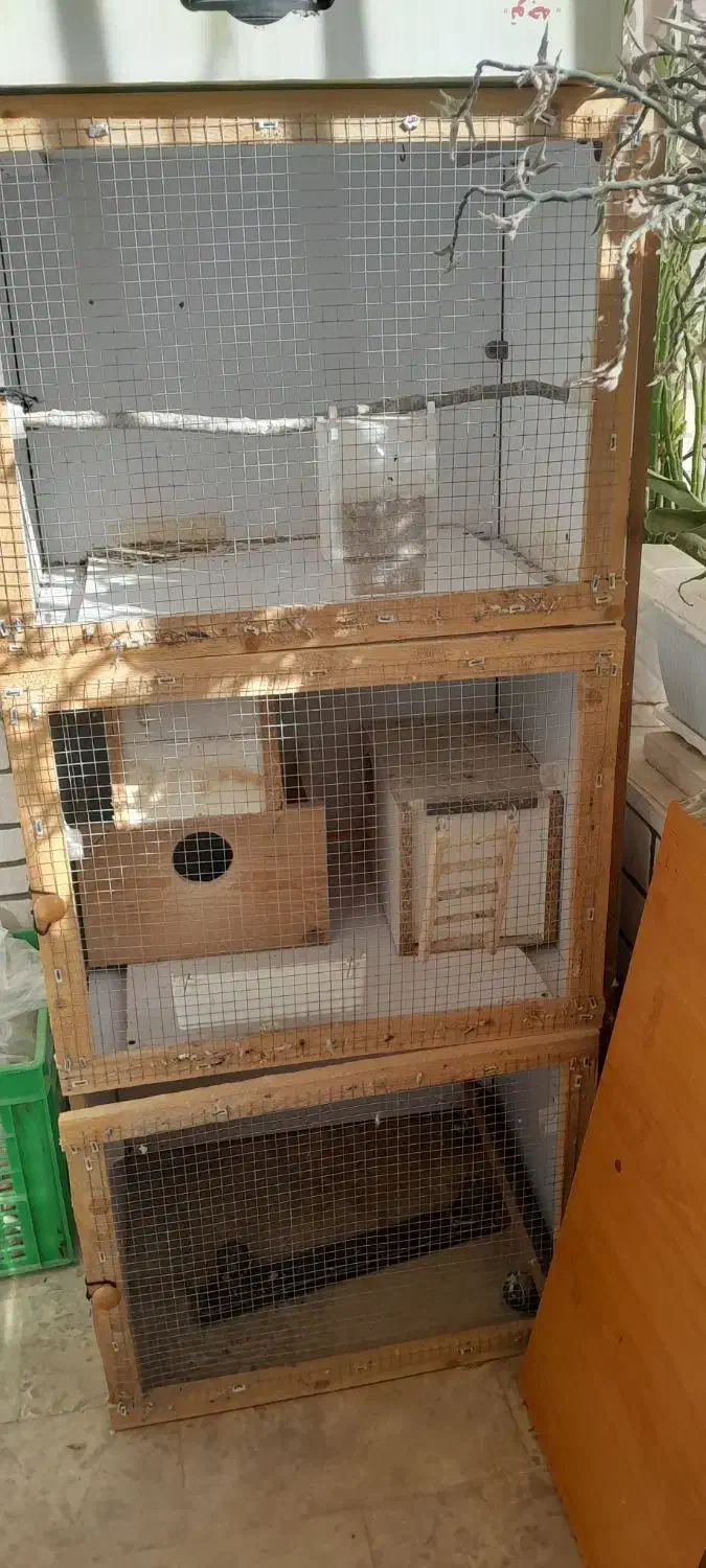 قفس‌دست‌ساز|لوازم جانبی حیوانات|محمدشهر, شهرک پیام (مهرالبرز)|دیوار