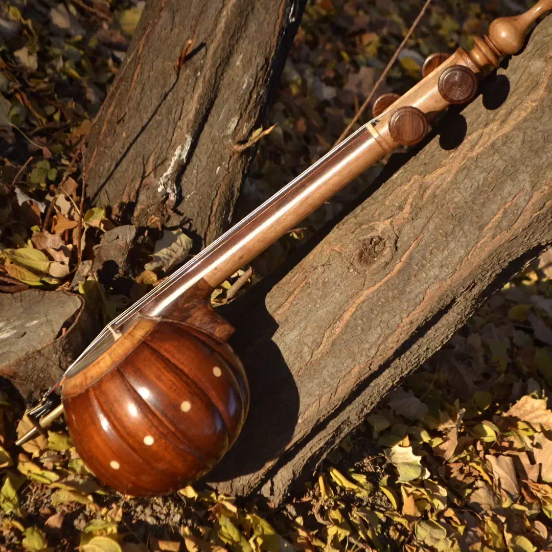 کمانچه پشت بسته الگو دو خم|سازهای سنتی|تهران, فردوسی|دیوار