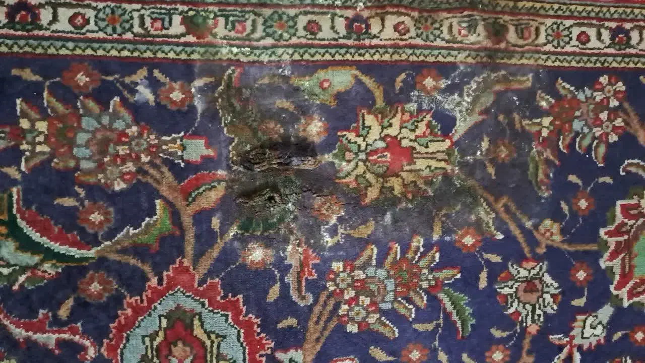 فرش دستباف|فرش|کرج, دهقان ویلا|دیوار