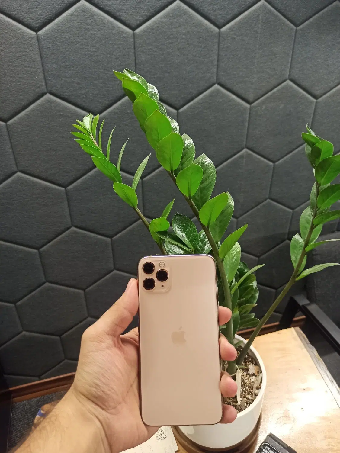 iPhone 11 Pro Max.|موبایل|قم, انسجام|دیوار