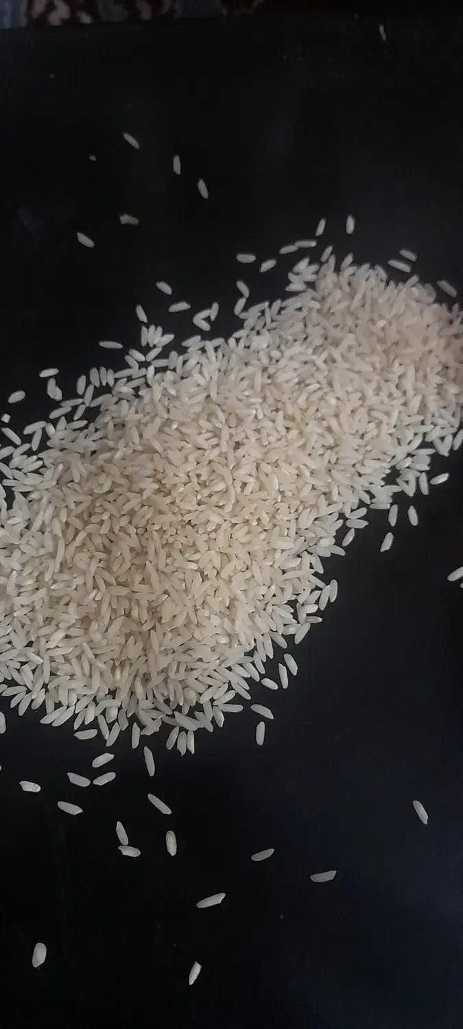 برنج محلی صدری و علی کاظمی|خوردنی و آشامیدنی|الشتر, |دیوار