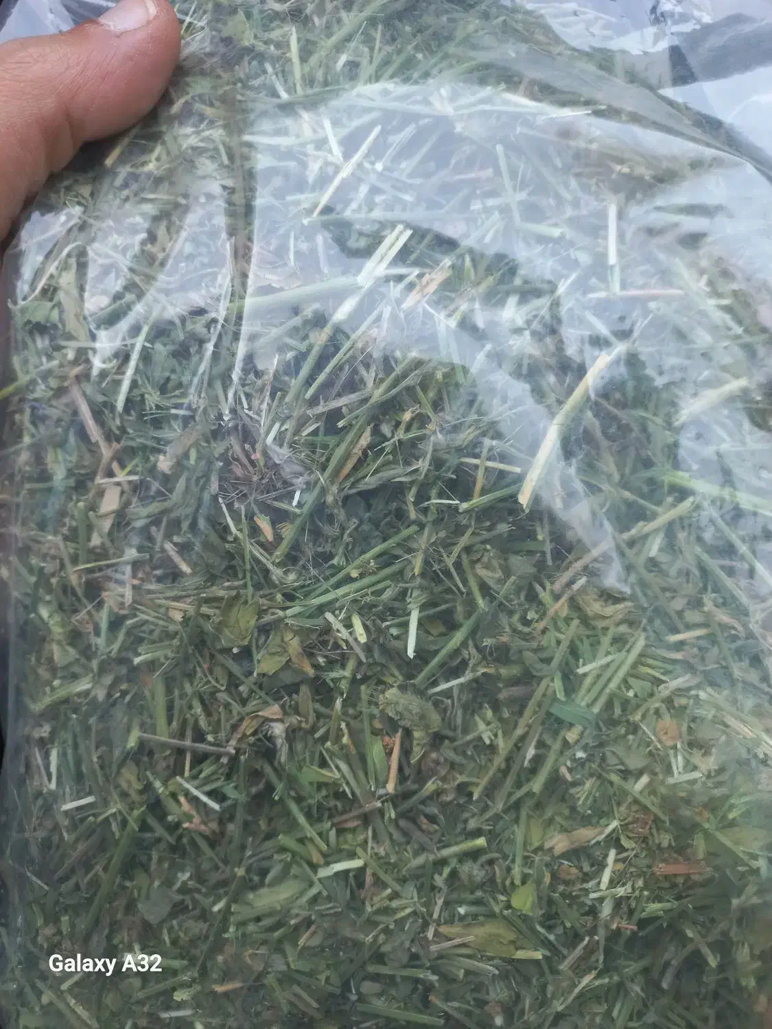 یونجه پرس شده و ریز شده موجود است|لوازم جانبی حیوانات|قائم‌شهر, |دیوار