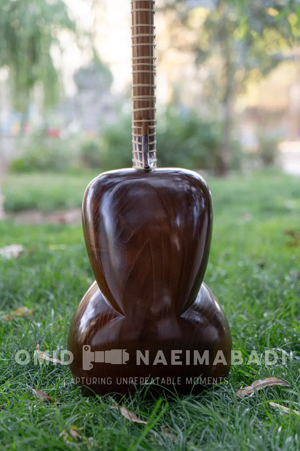 تار قوامی|سازهای سنتی|کرج, مهرویلا جنوبی|دیوار