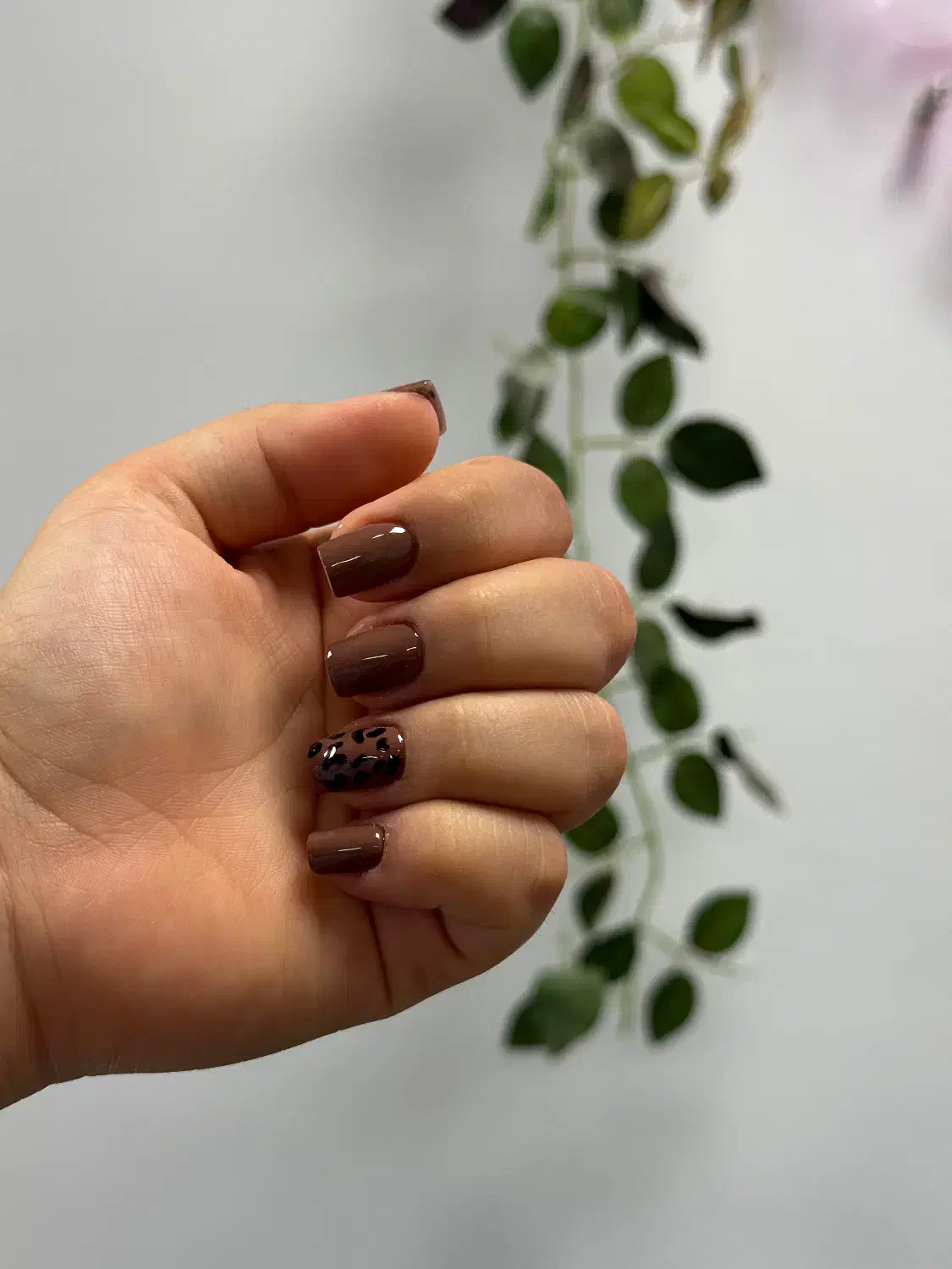 کاشت و ترمیم ناخن رایگان|خدمات آرایشگری و زیبایی|علیآباد کتول, |دیوار