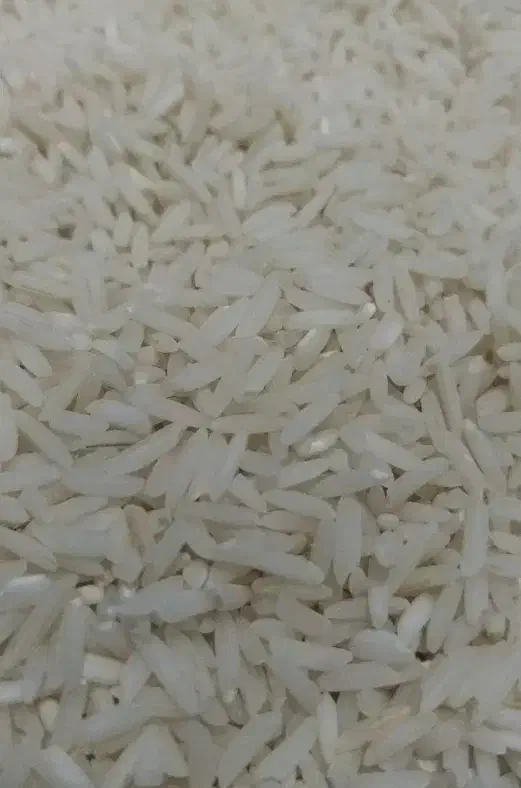 برنج هاشمی اصل|خوردنی و آشامیدنی|رودبنه, |دیوار