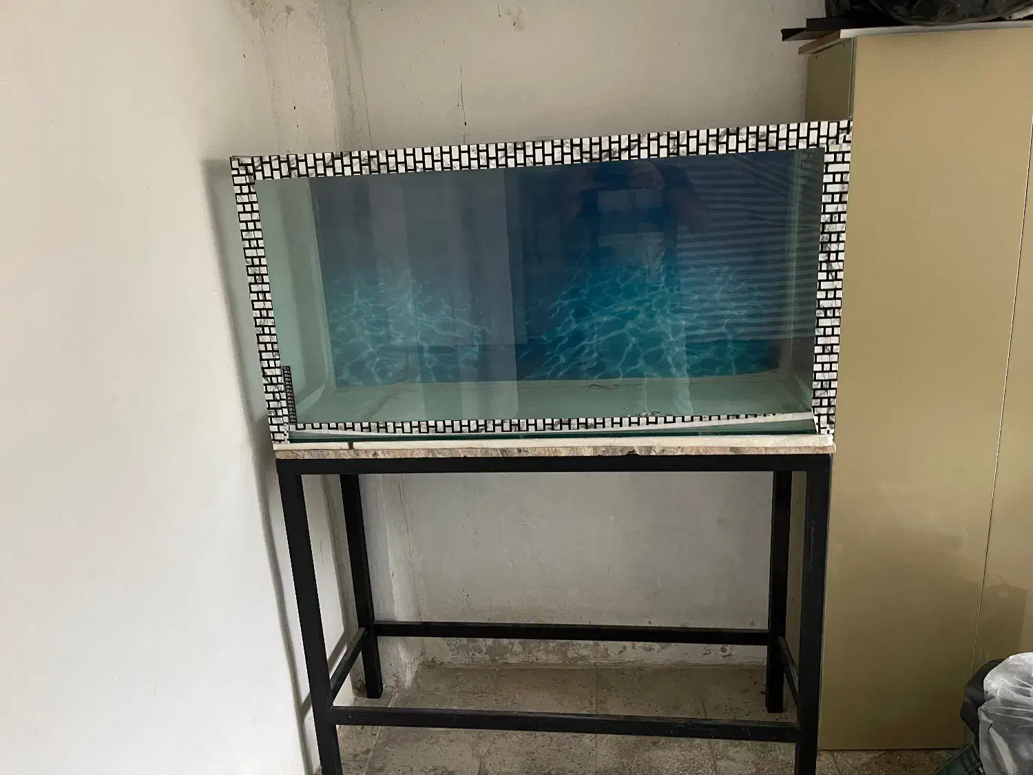 آکواریوم|ماهی|سرخرود, |دیوار