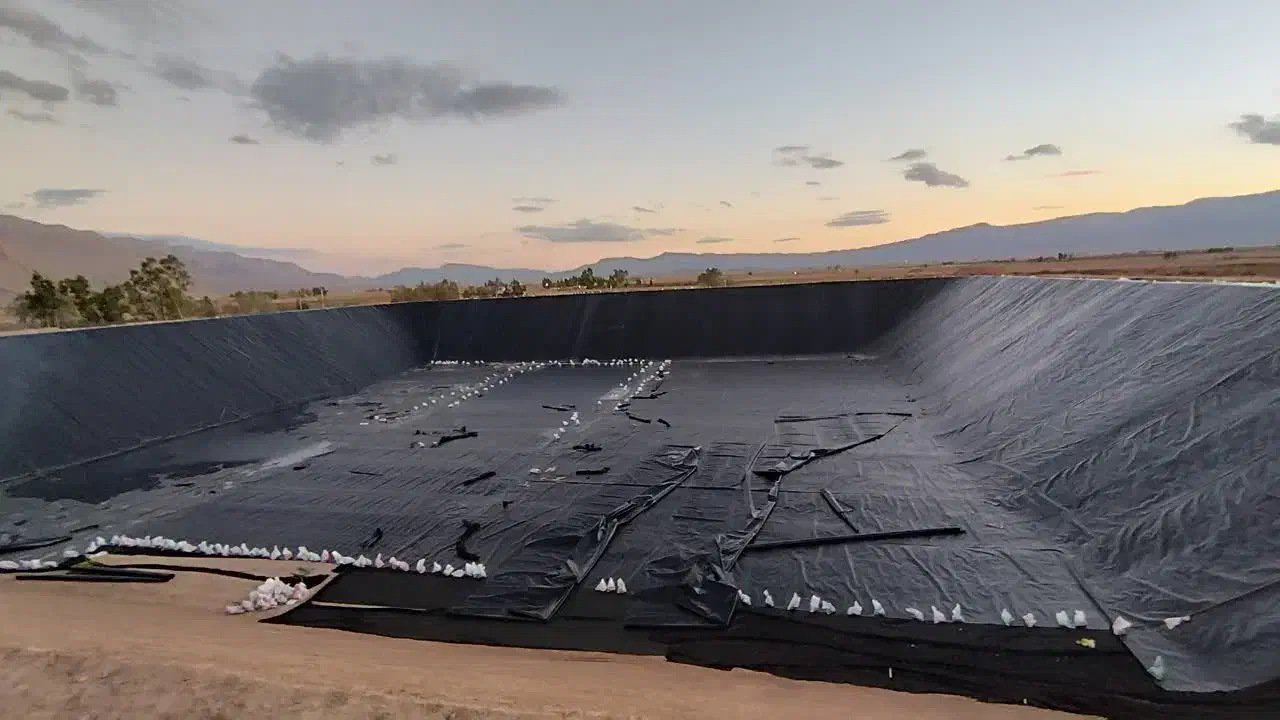 تولیدوفروش ورق ژیوممبران جهت عایق(تضمینی)|خدمات پیشه و مهارت|رودبار, |دیوار