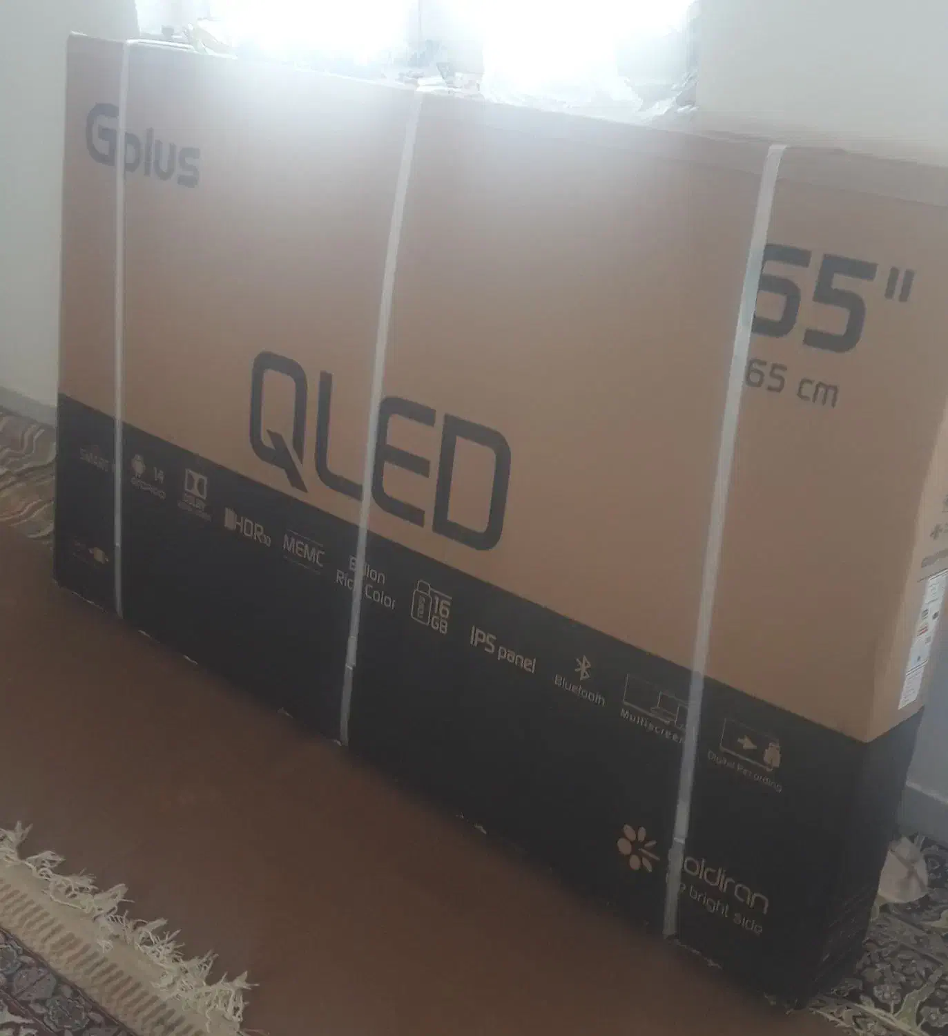 تلویزیون جی پلاس ۶۵ اینچ|تلویزیون و پروژکتور|بندرعباس, |دیوار