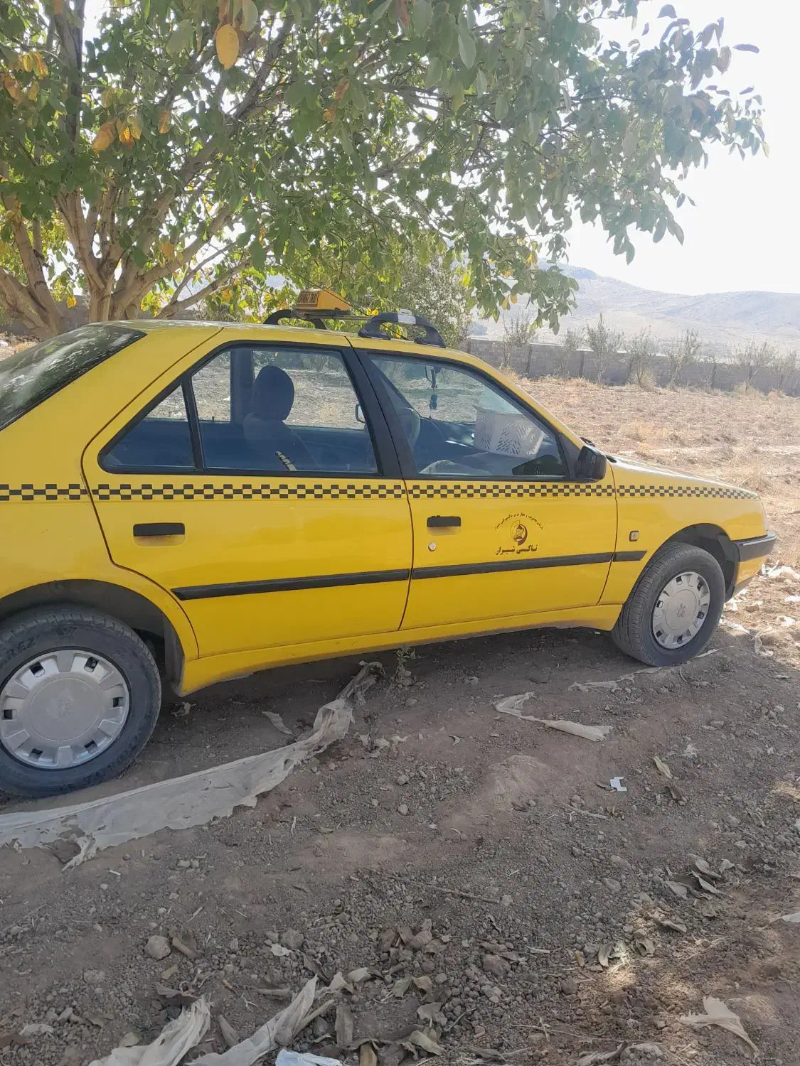 405 تاکسی تمیز|خودرو سواری و وانت|صدرا-فارس, فاز ۱|دیوار