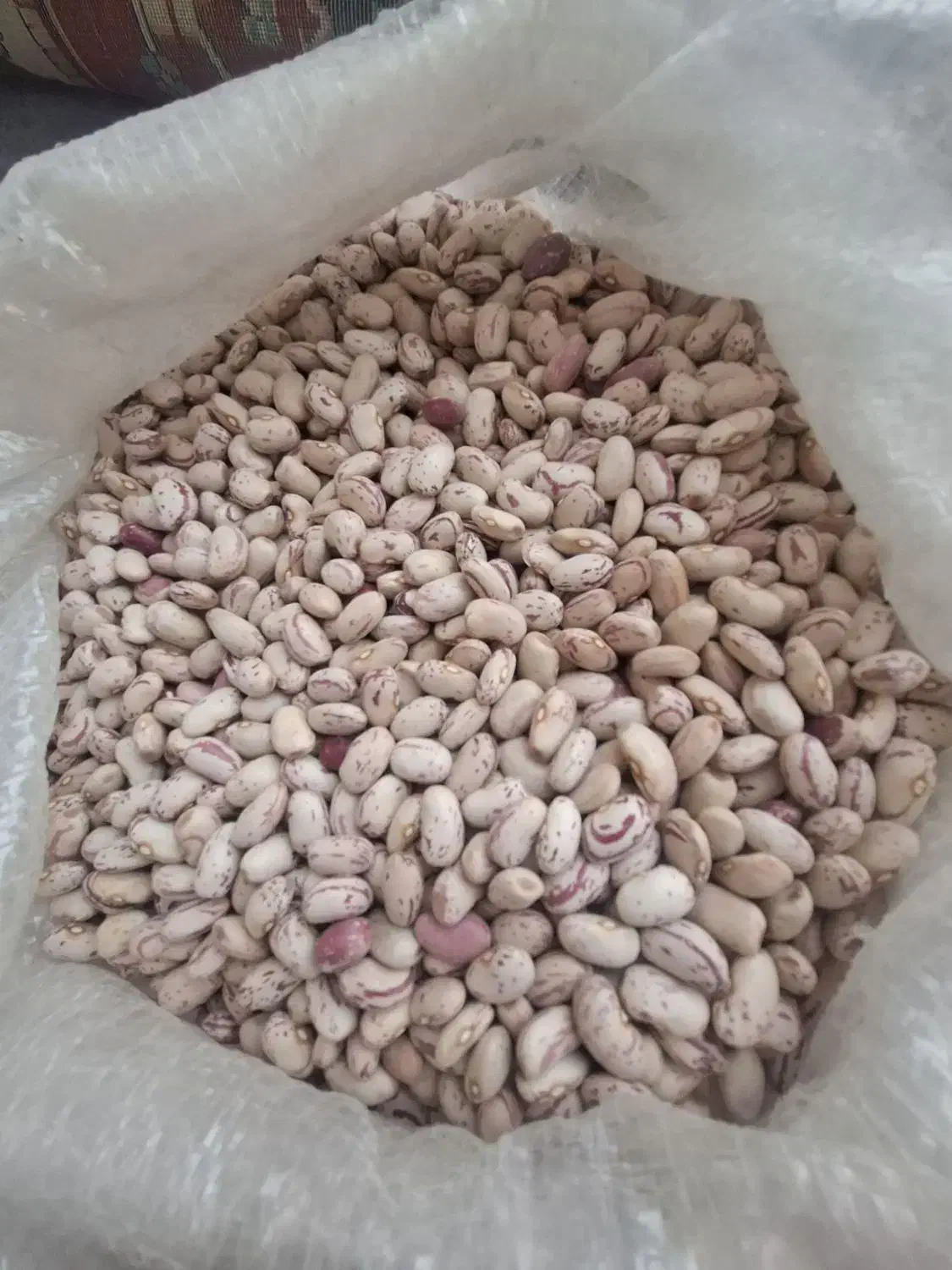 لوبیا چیتی|خوردنی و آشامیدنی|عجب شیر, |دیوار