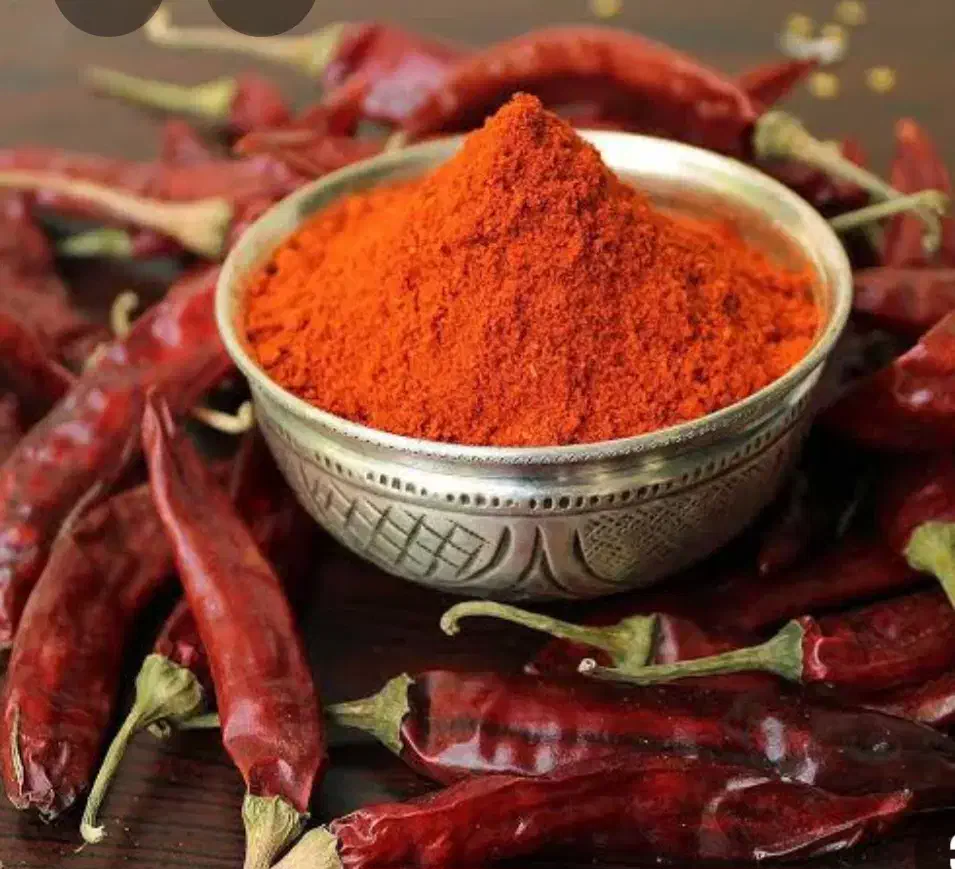 فلفل قرمز|خوردنی و آشامیدنی|گتوند, |دیوار