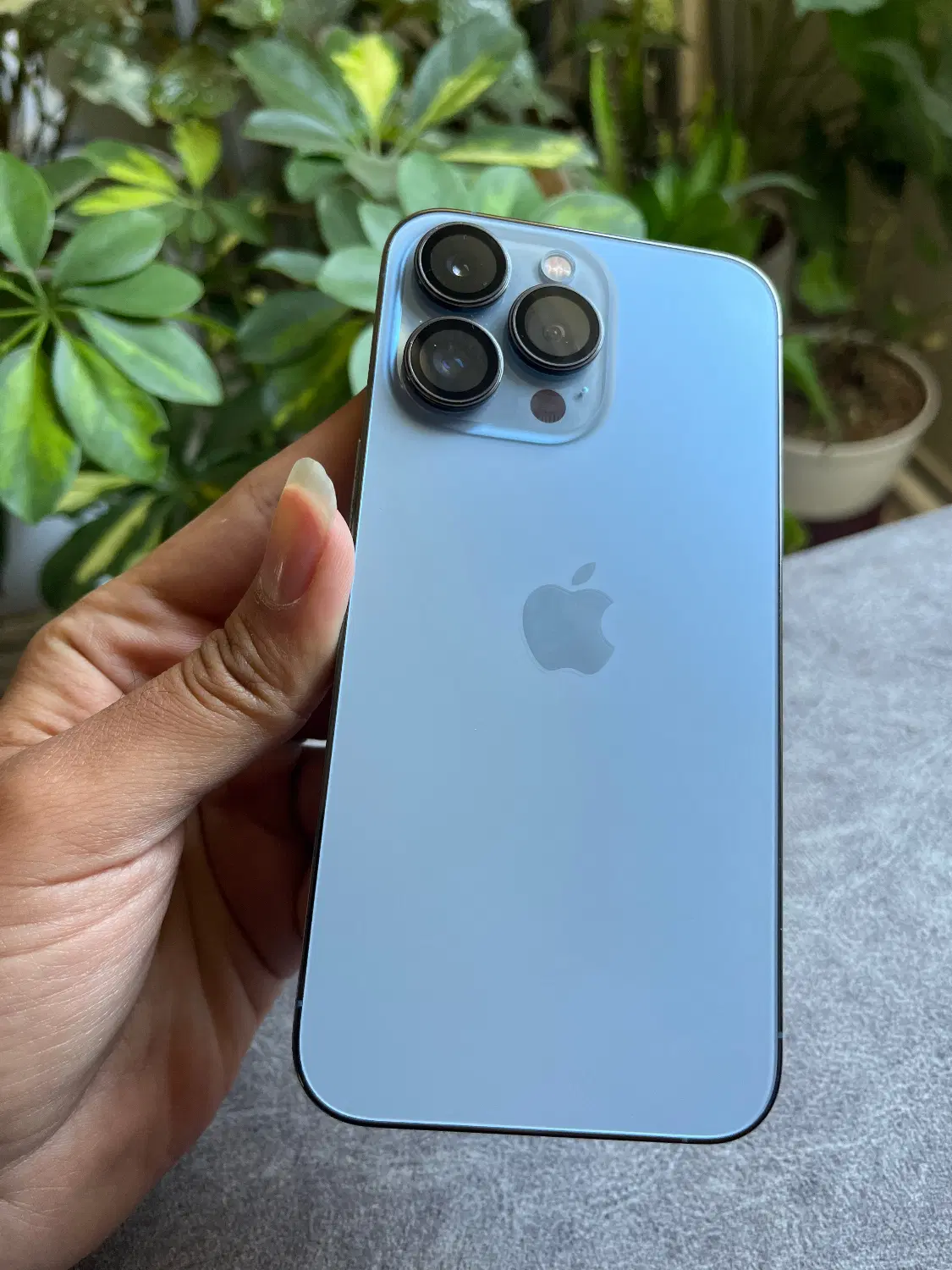 iphone 13pro|موبایل|تهران, ارم|دیوار
