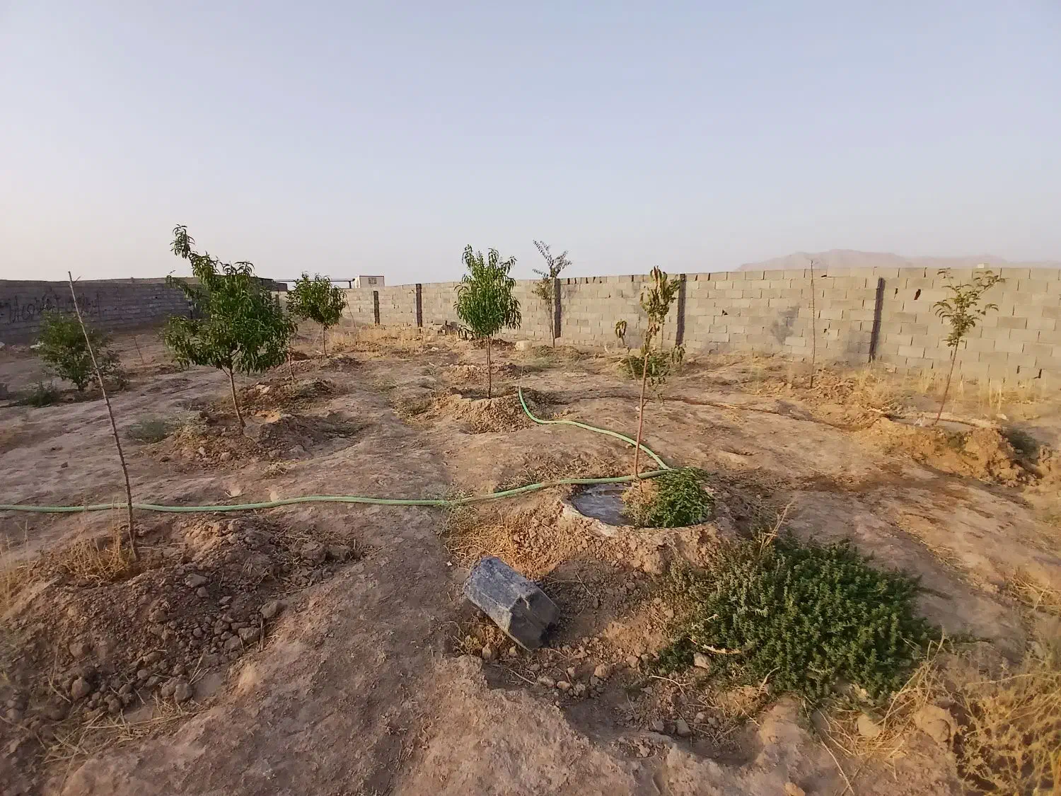 تعدادی قطعات زمین با نقشه کشی|فروش زمین و ملک کلنگی|مشهد, شهید شهریاری|دیوار