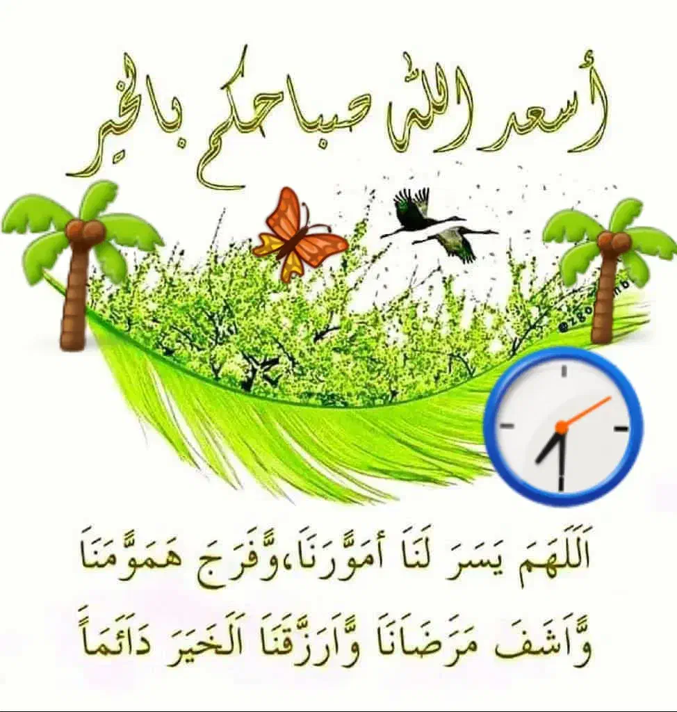 مدارک گم شده|اشیا|اهواز, لشکرآباد|دیوار