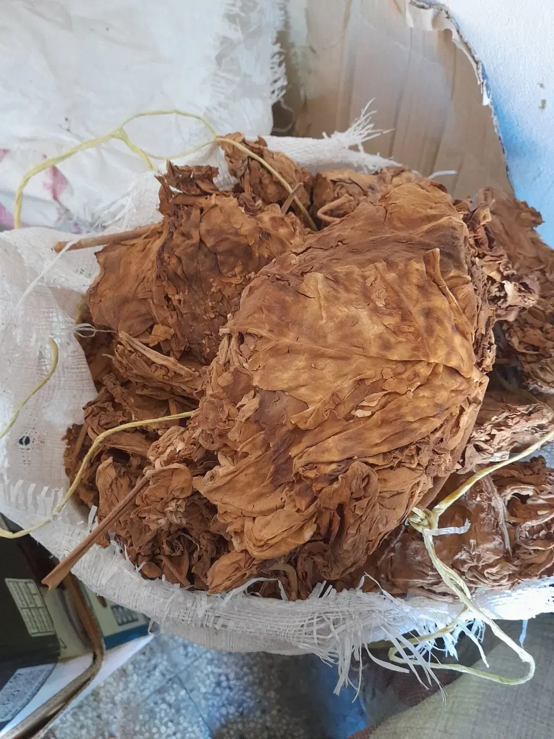 برگ خشک|کلکسیون و سرگرمی|بندر گناوه, |دیوار