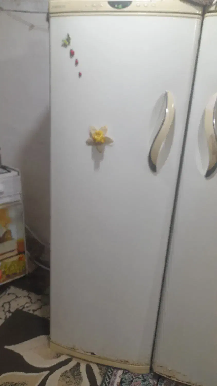 یخچال فریزر دوقلو امرسان|یخچال و فریزر|سیاهکل, |دیوار