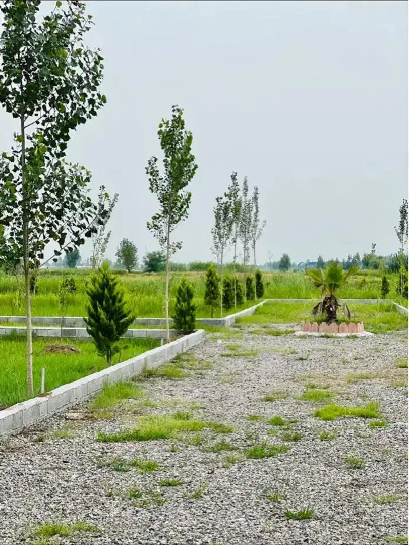 200متر زمین داخل بافت|فروش زمین و ملک کلنگی|دابودشت, |دیوار