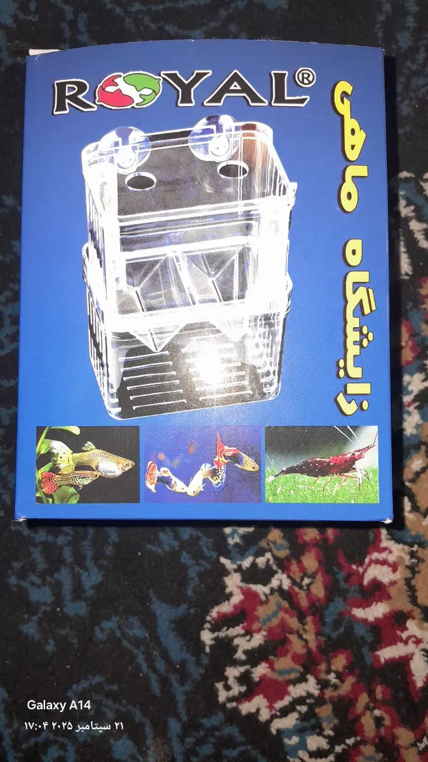 الی دی ضد آب|ماهی|قم, شاه سید علی|دیوار