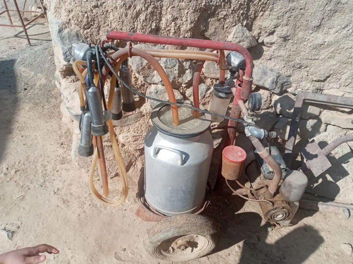 شبروش گاو|ماشینآلات صنعتی|داران, |دیوار