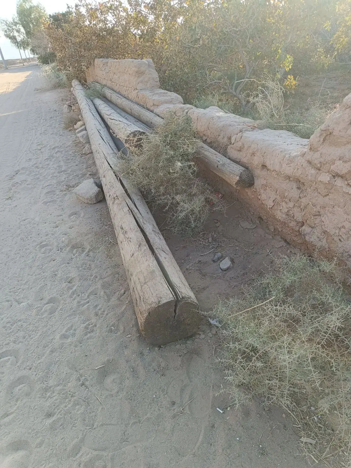 تیر برق چوبی|مصالح و تجهیزات ساختمان|زارچ, |دیوار