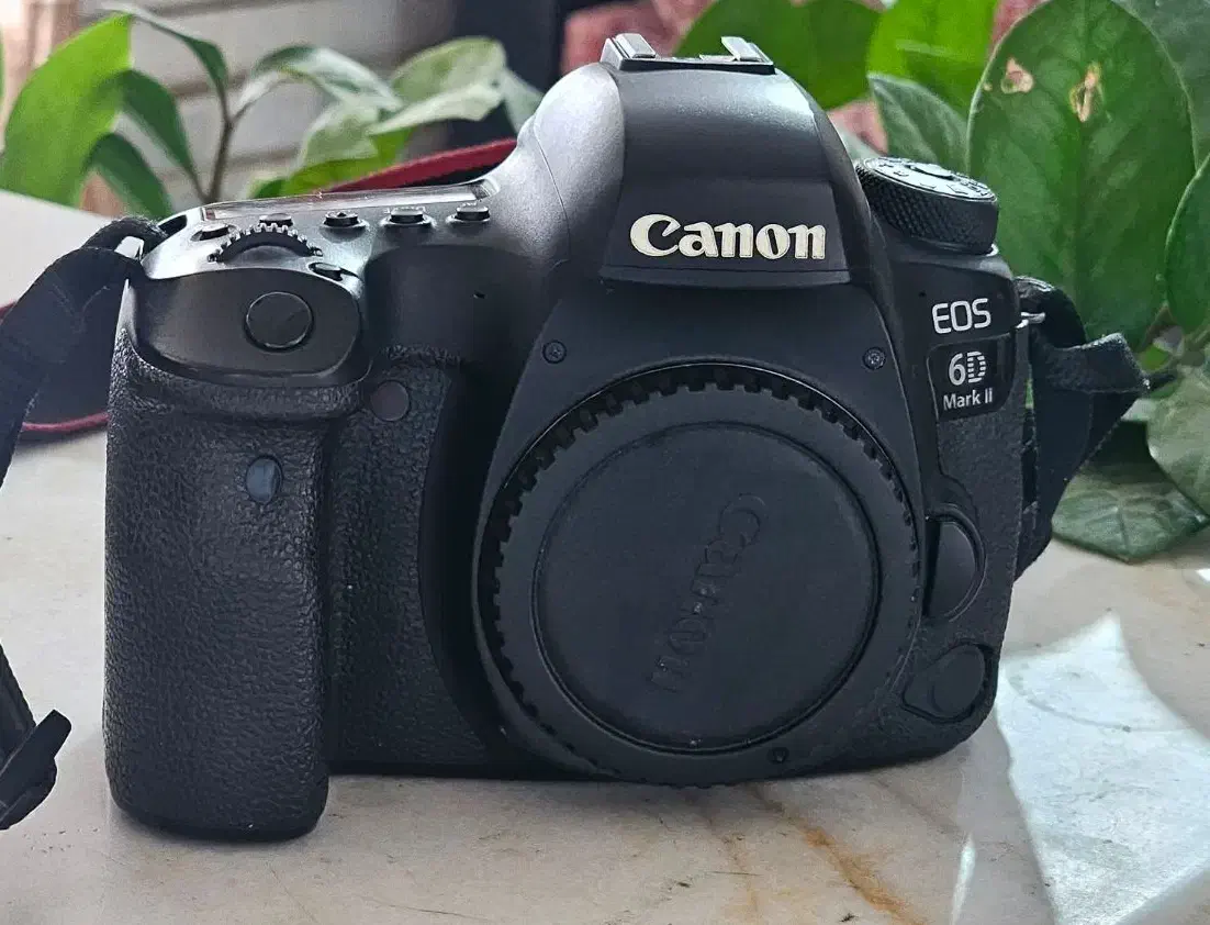 دوربین و لنز و فلش|دوربین عکاسی و فیلم‌برداری|قزوین, |دیوار