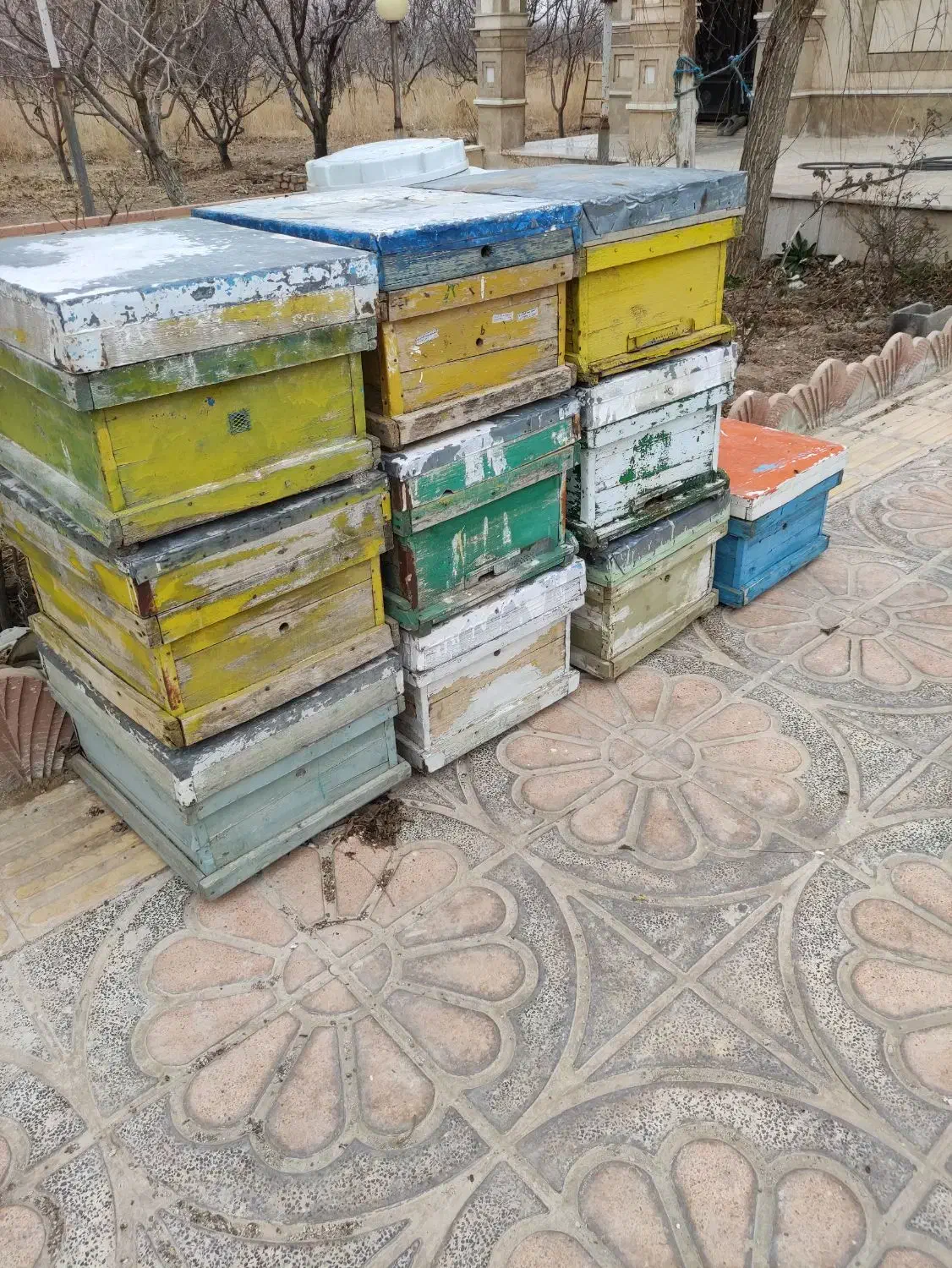 ۱۰ عدد کندو دسته دوم|لوازم جانبی حیوانات|بوئین زهرا, |دیوار