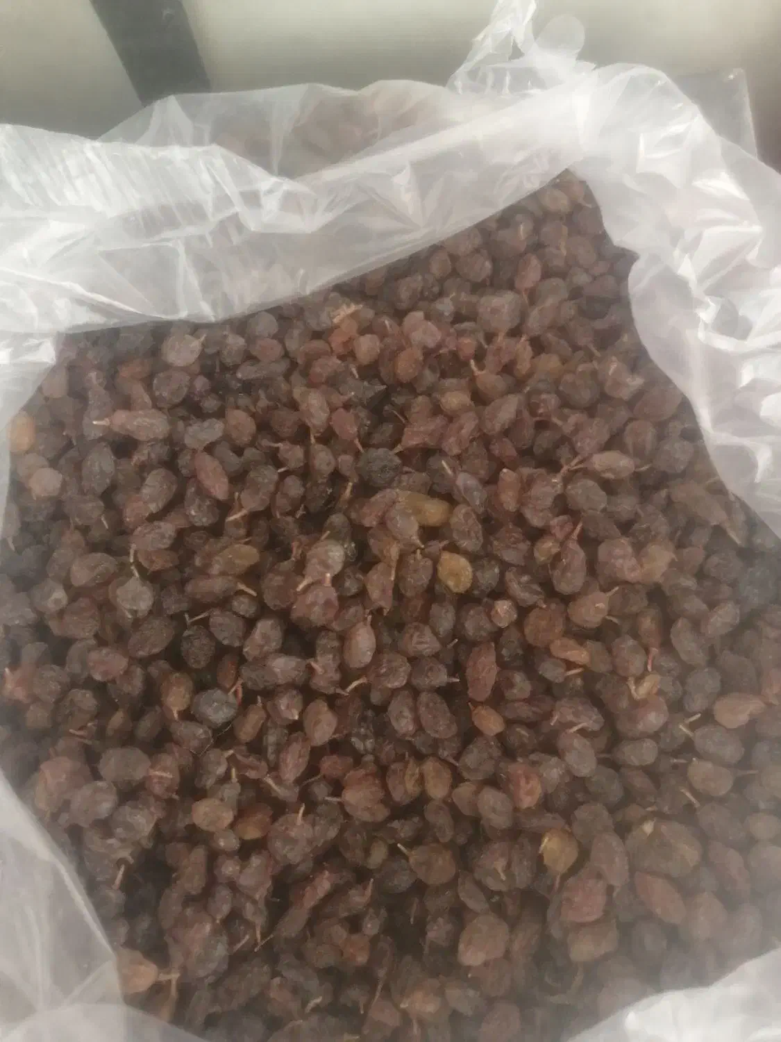 کشمش بدون تیزاب|خوردنی و آشامیدنی|قیدار, |دیوار