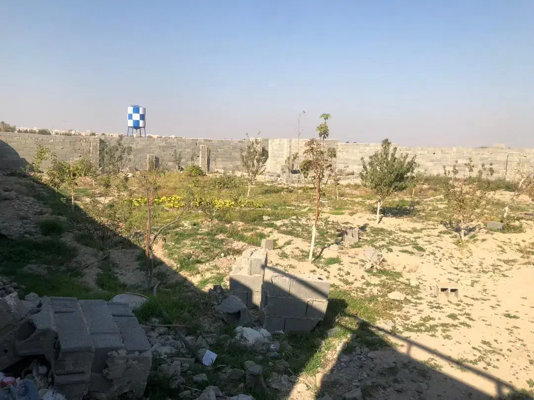 باغچه 550متری چاردیواری نگهبانی و آب برق مصرفی|فروش زمین و ملک کلنگی|رباط‌کریم, رباط‌کریم|دیوار