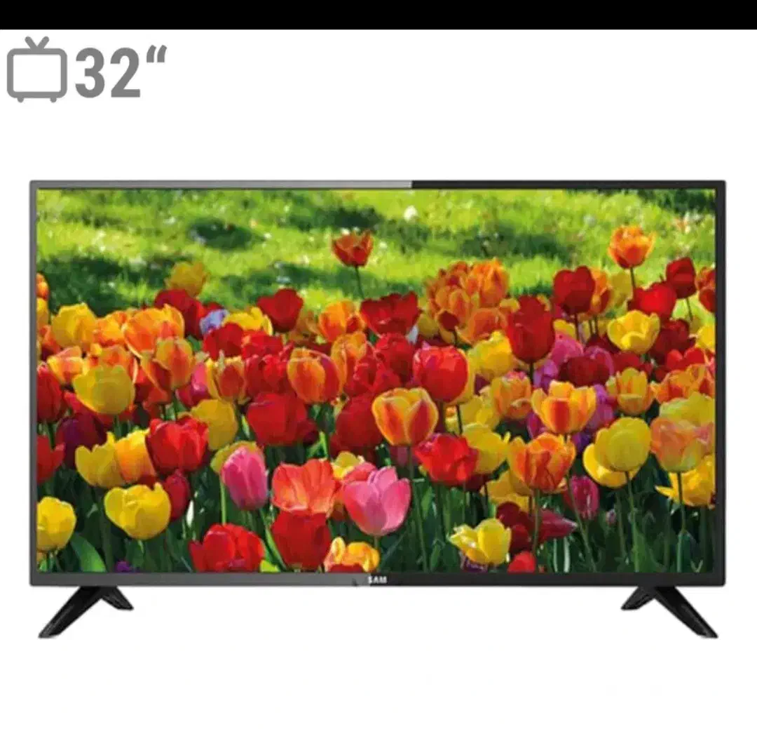 تلویزیون 32|تلویزیون و پروژکتور|شوشتر, |دیوار