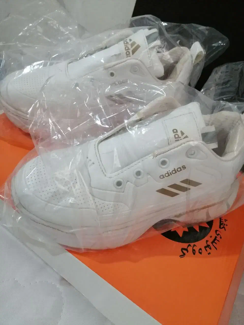 کفش مارک آدیداس|کیف، کفش، کمربند|نیشابور, دارایی|دیوار