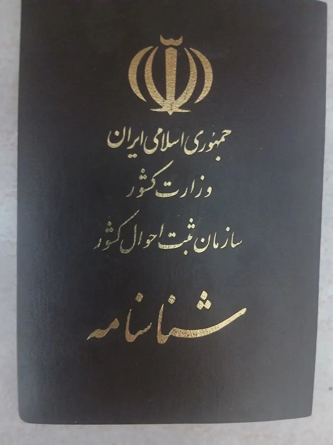 دو تا شناسنامه گم کردم|اشیا|تهران, بلوار کشاورز|دیوار