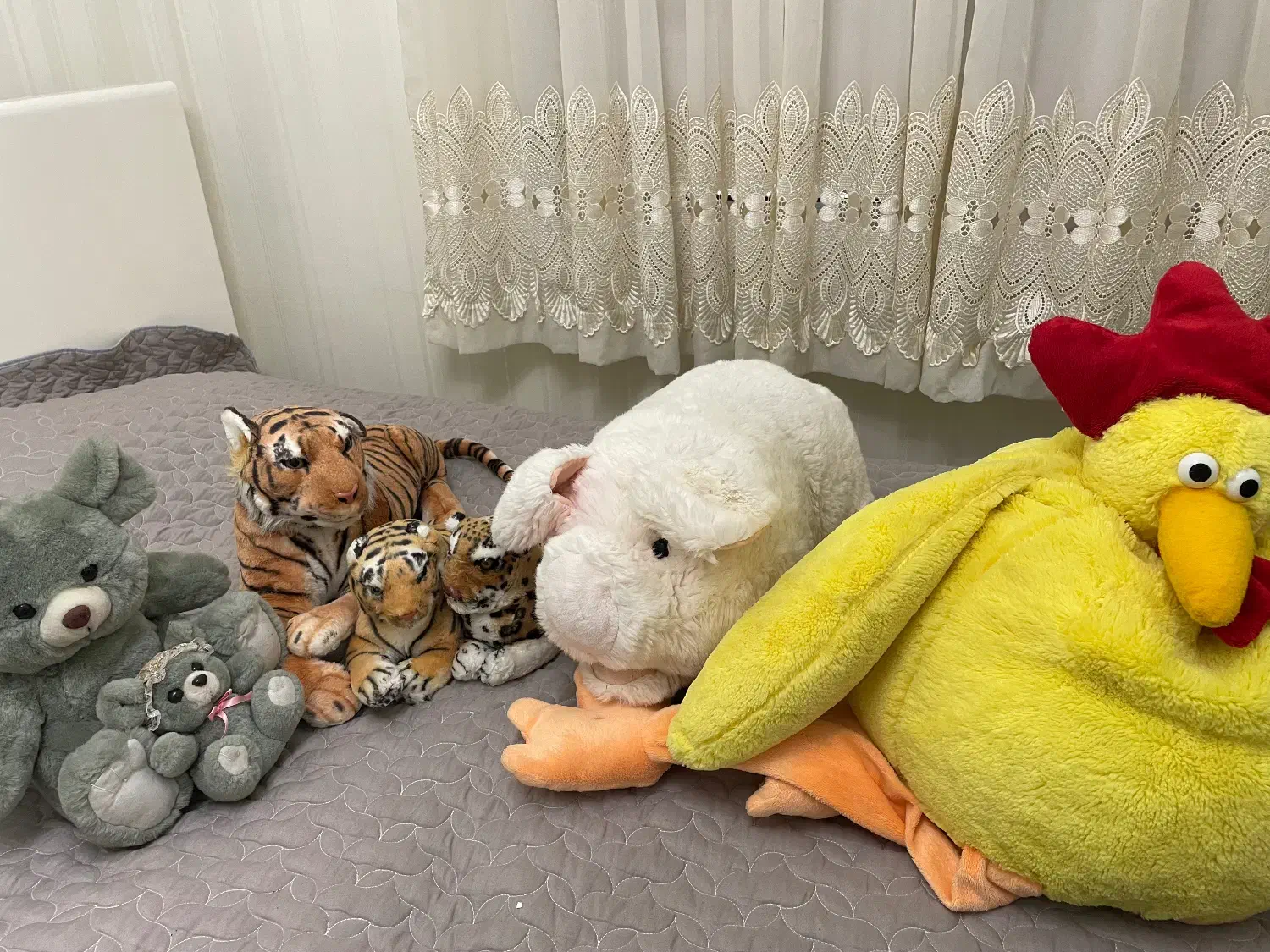 عروسک پت|اسباب‌‌بازی|تهران, زعفرانیه|دیوار