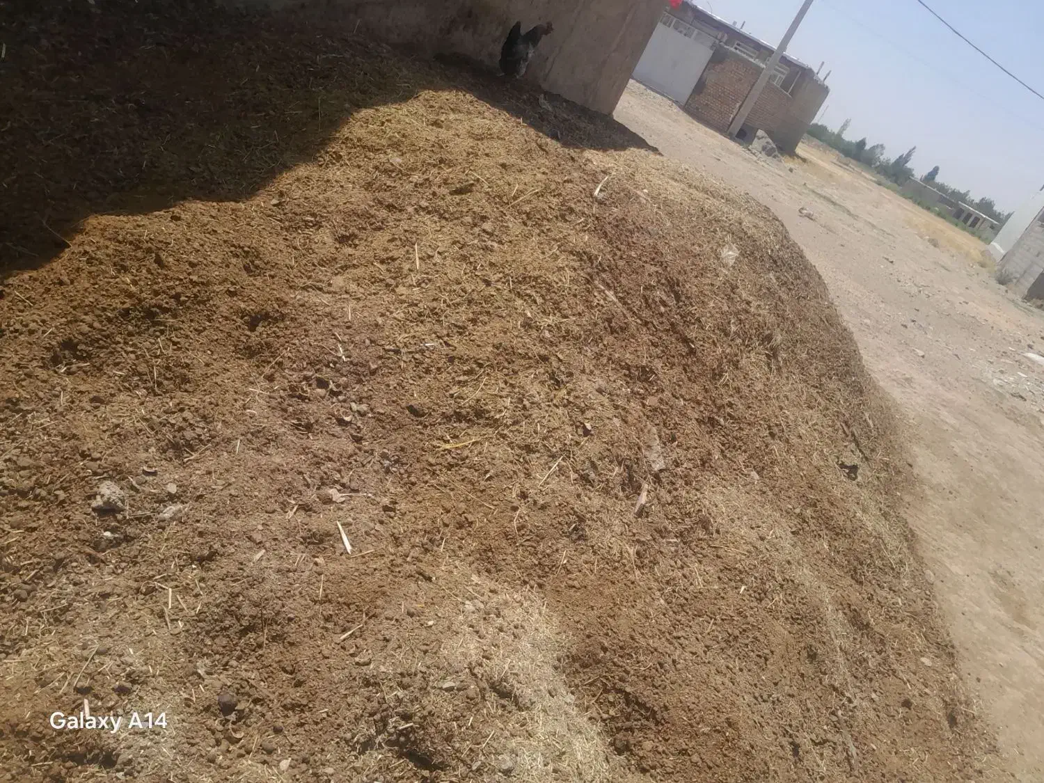 کود گوسفندی پشگل|لوازم جانبی حیوانات|نورآباد, |دیوار