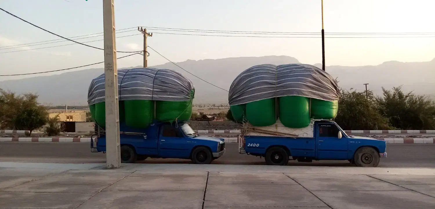 کاهنرم|لوازم جانبی حیوانات|شهر بابک, |دیوار