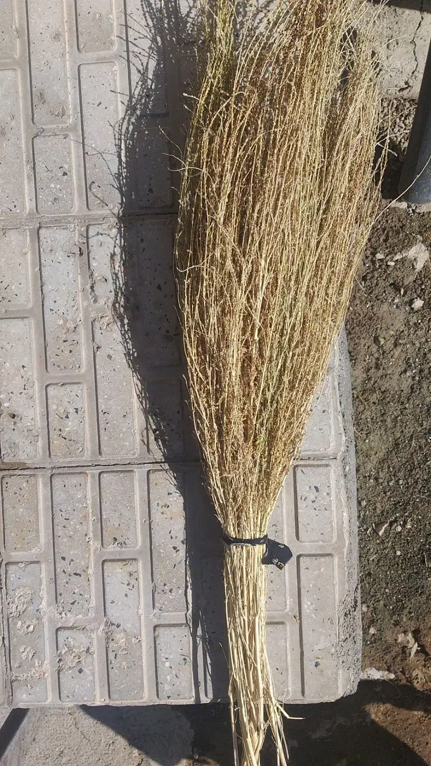 جارو|جاروبرقی، جارو شارژی، بخارشو|بیلوار, |دیوار