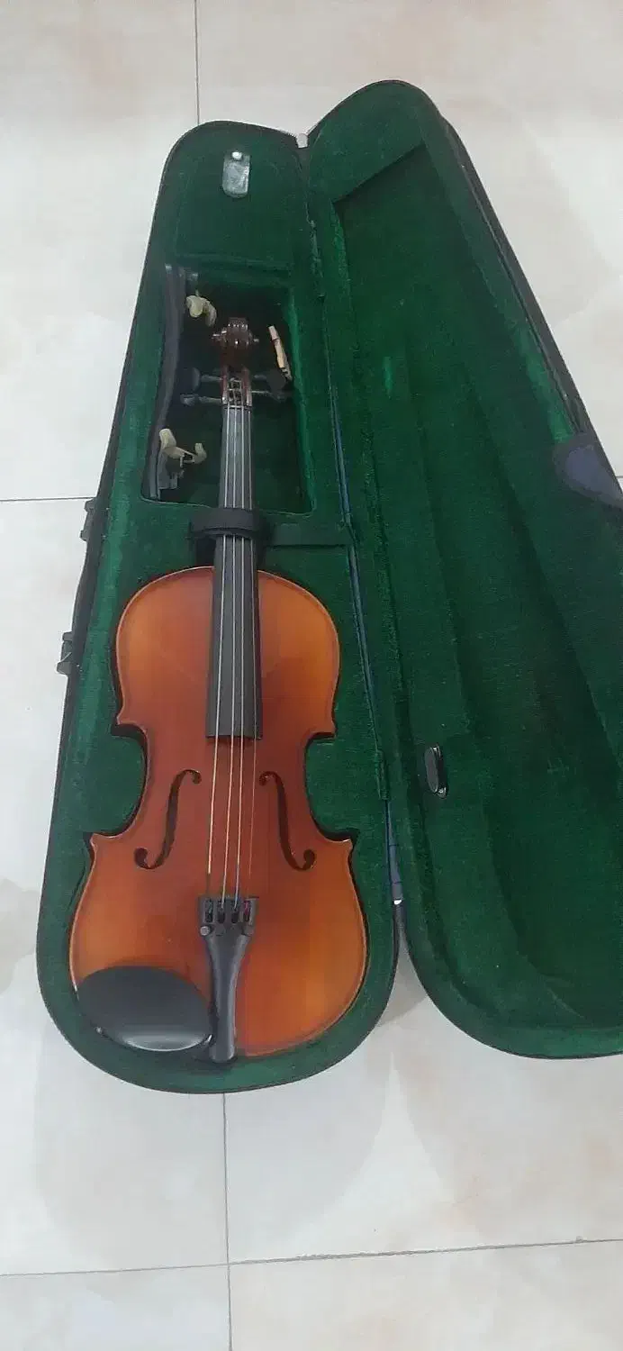 ویولن مدلmv 181|ویولن|چالوس, |دیوار