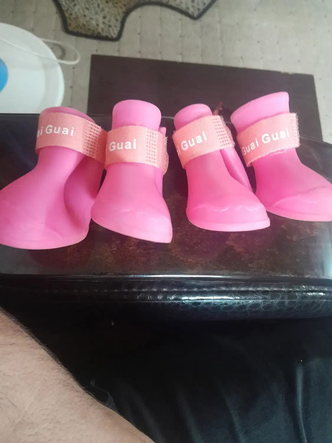 کفش سگ در حد نو|لوازم جانبی حیوانات|لاهیجان, رجایی|دیوار