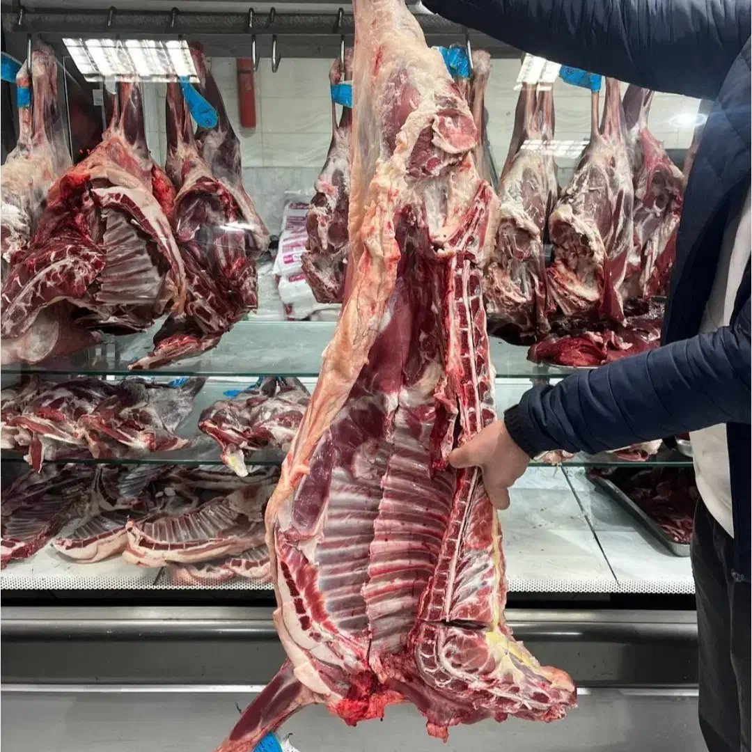 پخش گوشت|خوردنی و آشامیدنی|مشهد, شهید بصیر|دیوار