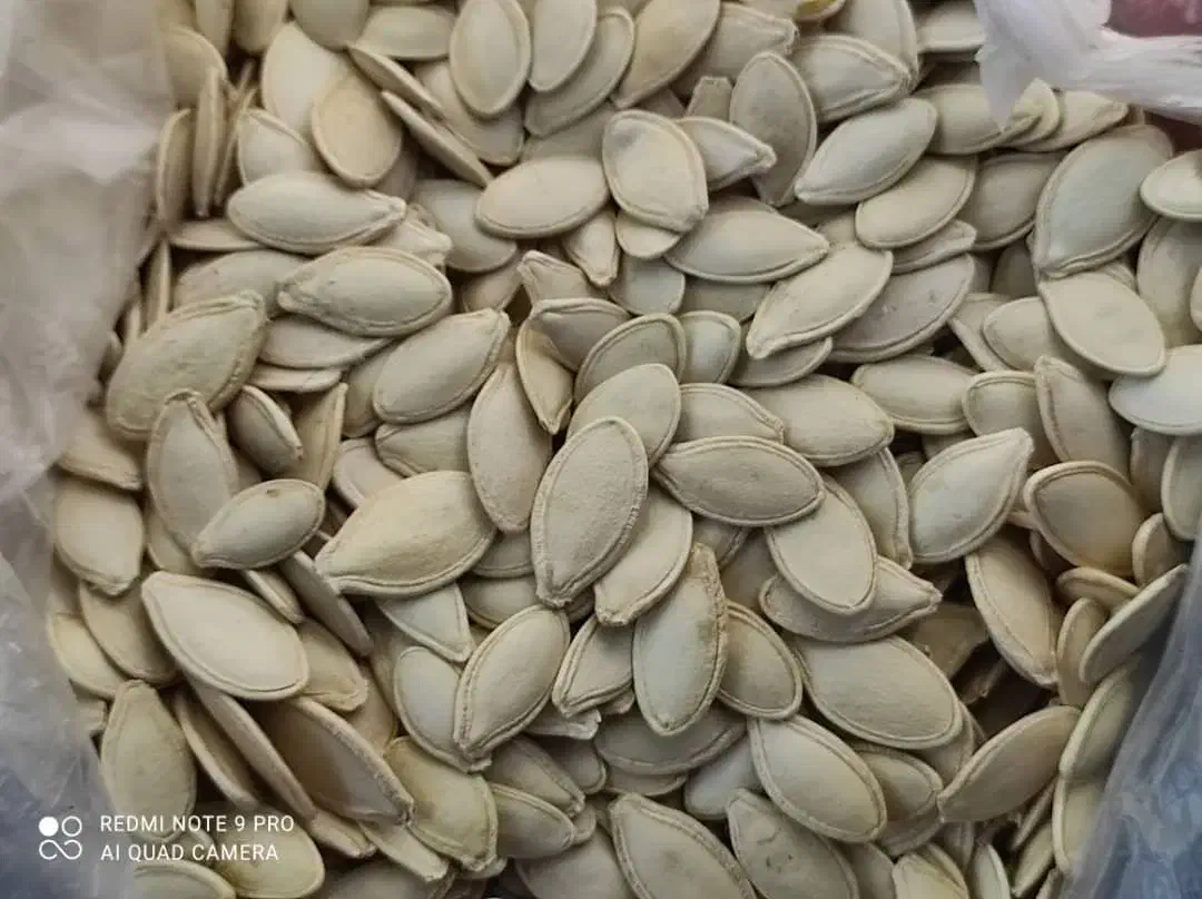 لوبیا چیتی و تخمه کدو سیب زمینی هم موجود می باشد.|خوردنی و آشامیدنی|سده (فارس), |دیوار