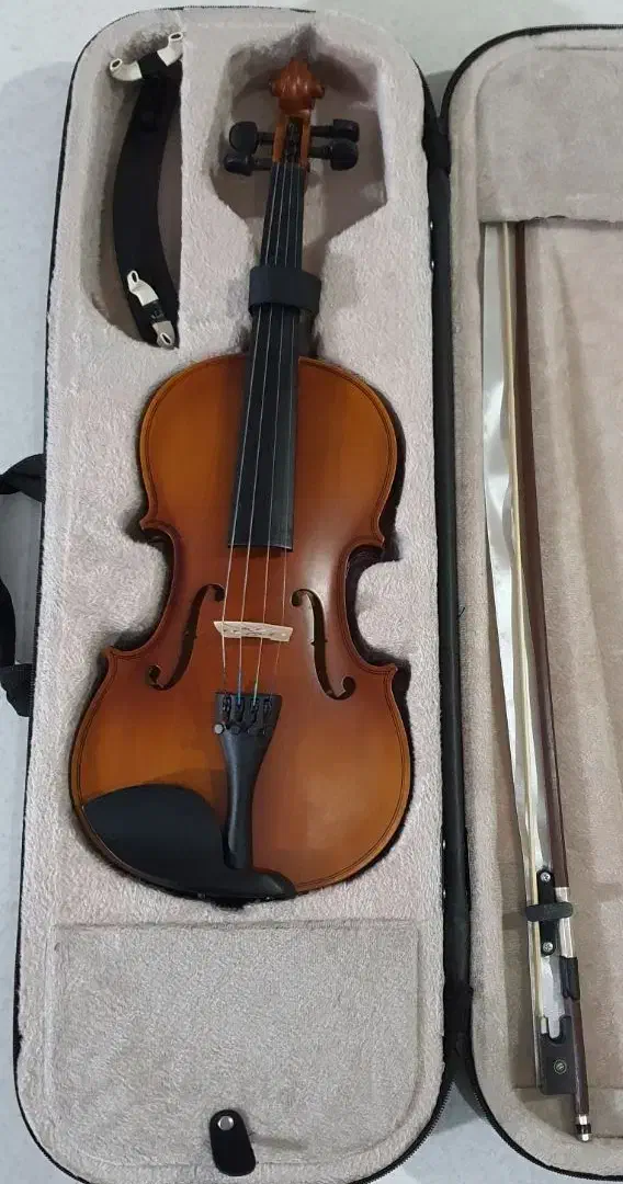 ویولن|ویولن|شهریار, شهریار|دیوار