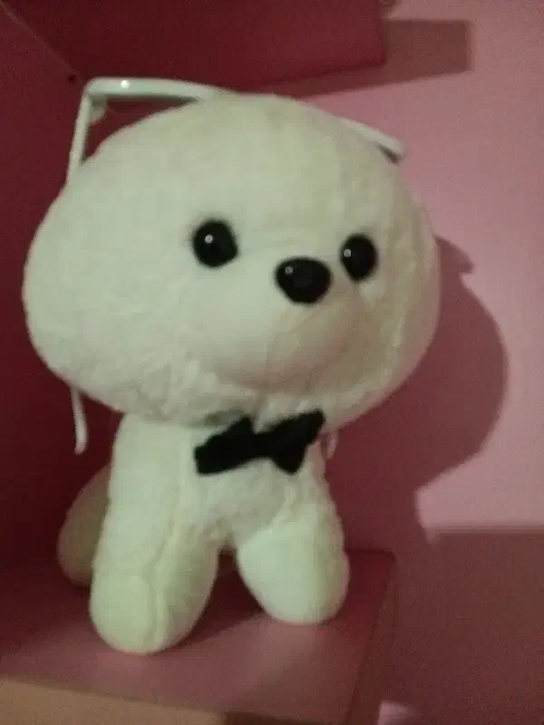 عروسک|اسباببازی بچه|تهران, میدان میوه و ترهبار مرکزی|دیوار