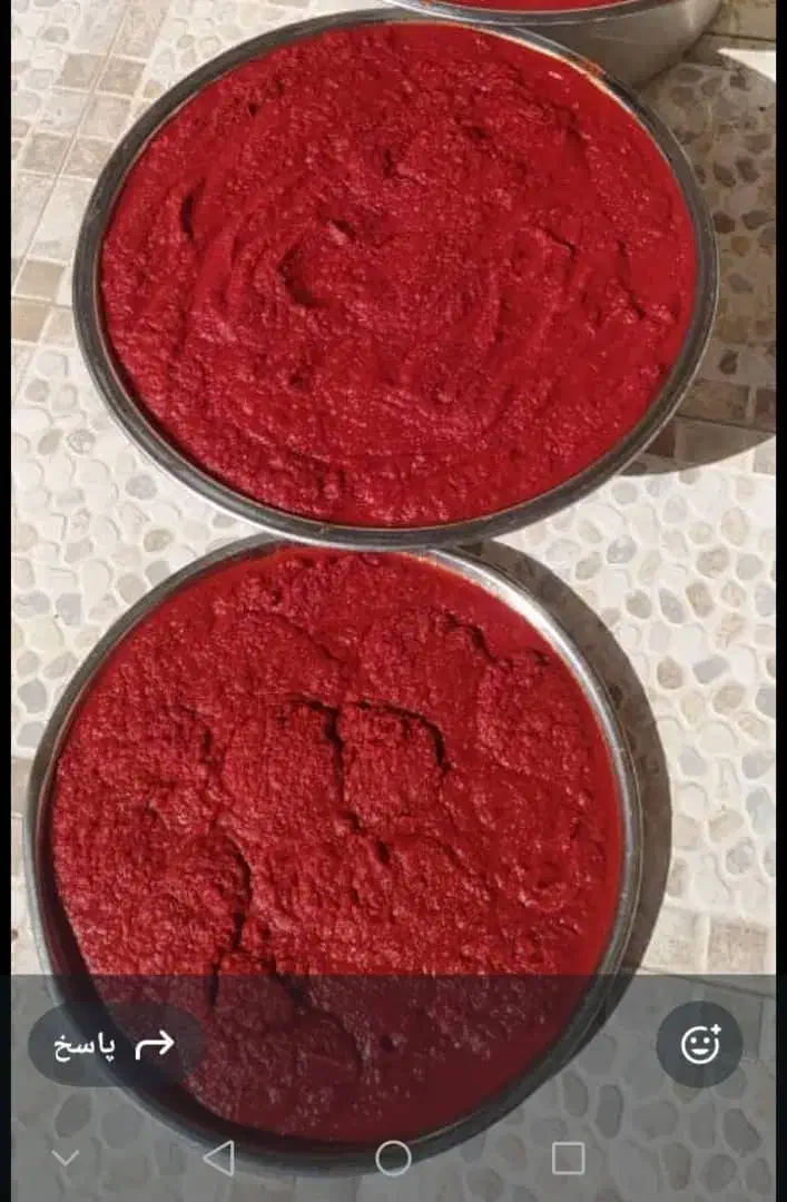 رب گوجه خونگی تمیزوبهداشتی|حراج|جهرم, |دیوار