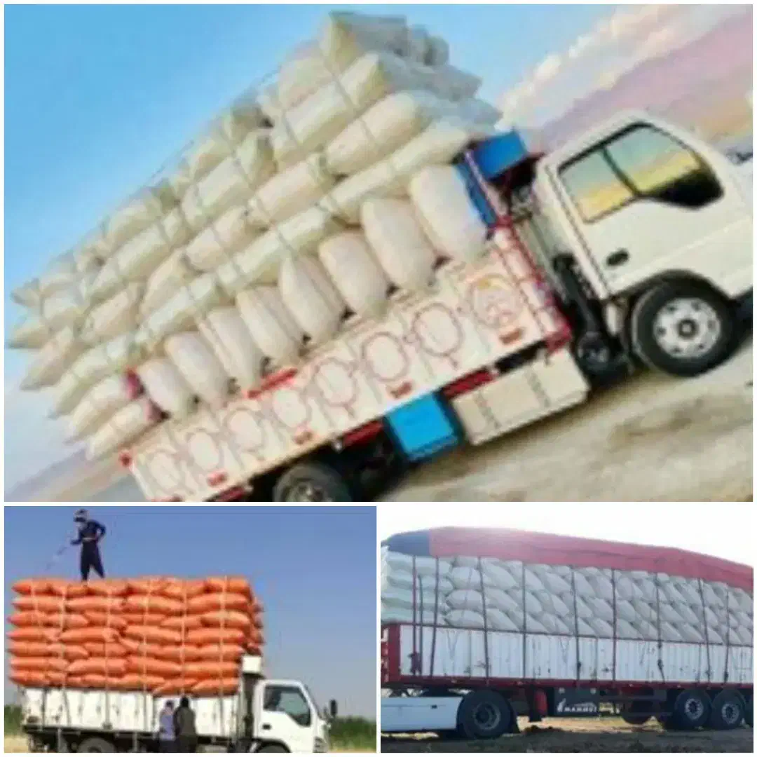 کاه لوبیا کاه گندم|حیوانات مزرعه|صائین قلعه, |دیوار