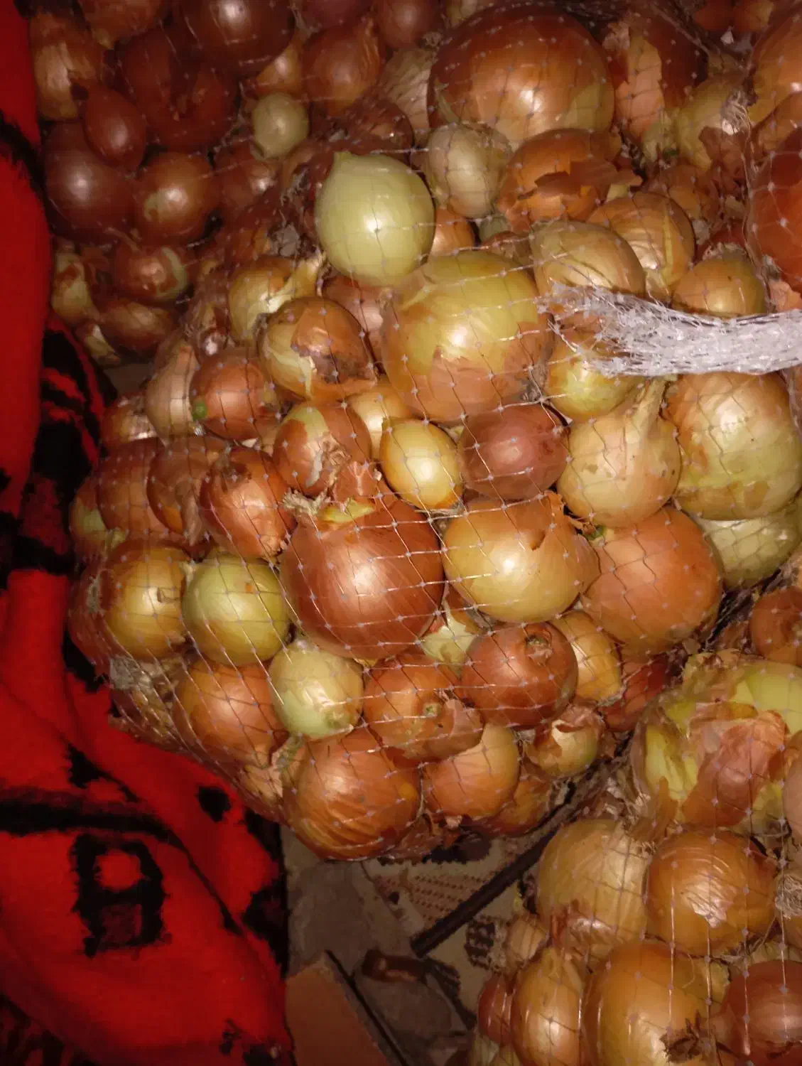 پیاززرد|خوردنی و آشامیدنی|سیلاخور, |دیوار