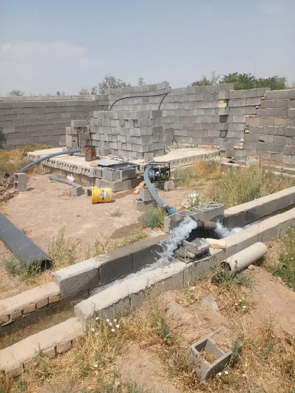 باغ در علویجه|فروش زمین و ملک کلنگی|دهق, |دیوار