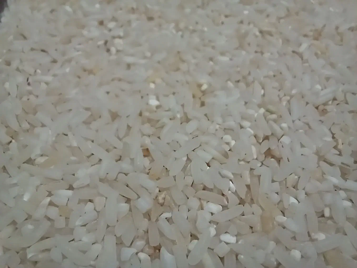 برنج شمال|خوردنی و آشامیدنی|الوند, |دیوار