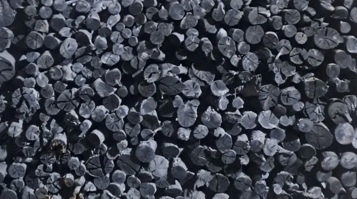 فروش عمده زغال سیب(لوله)|عمده‌فروشی|مهاباد (آذربایجان غربی), |دیوار