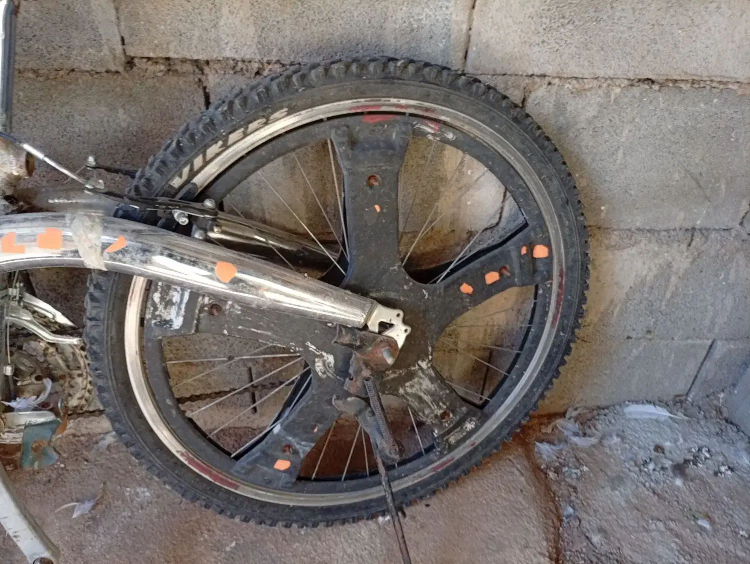 فروش|دوچرخه، اسکیت، اسکوتر|سپیدار, |دیوار